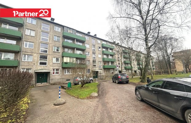 картина 18 of 19