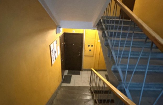 картина 16 of 19