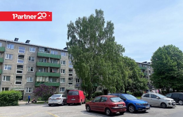 картина 17 of 19