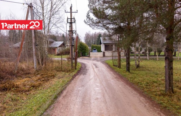 картина 16 of 16