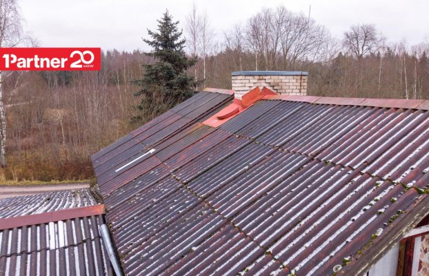 картина 13 of 16