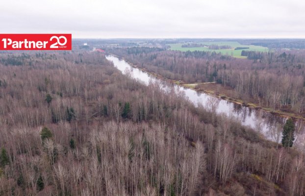 картина 6 of 16