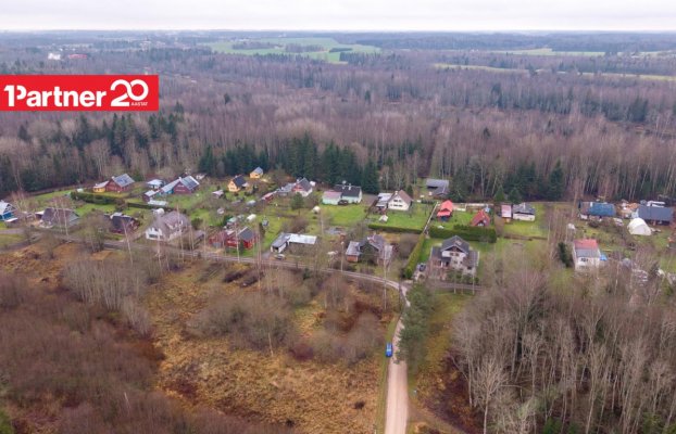 картина 15 of 16