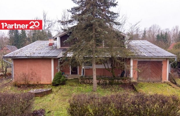 картина 2 of 16