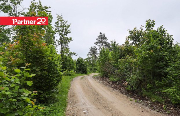 Image 10 of 11