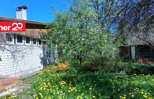 Image 12 of 28