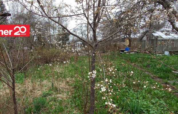 Image 20 of 28