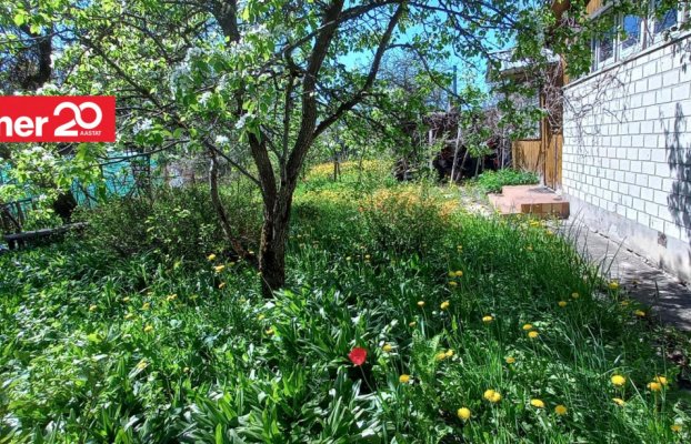 Image 26 of 28
