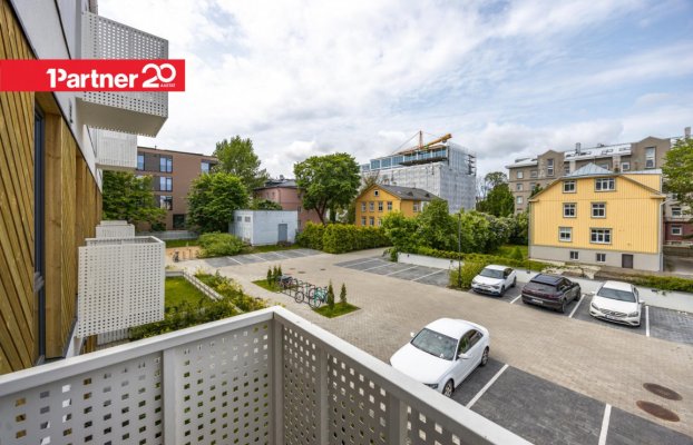 картина 8 of 26