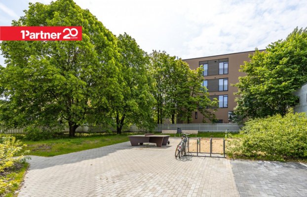 картина 21 of 26