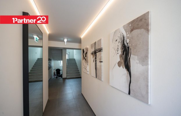 картина 18 of 26