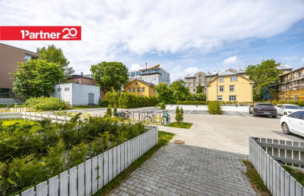 картина 20 of 26