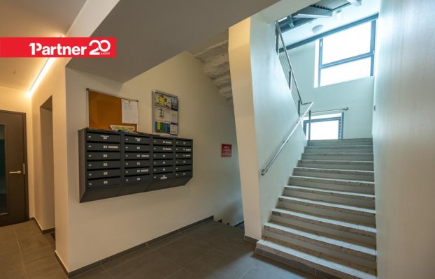 картина 19 of 26