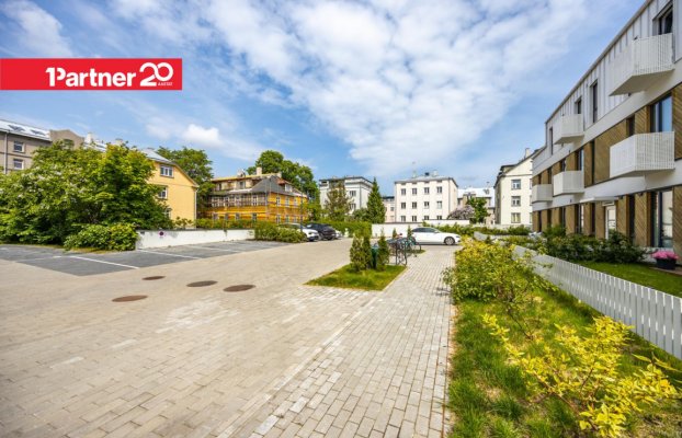 картина 22 of 26