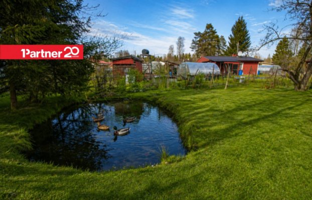 картина 20 of 27