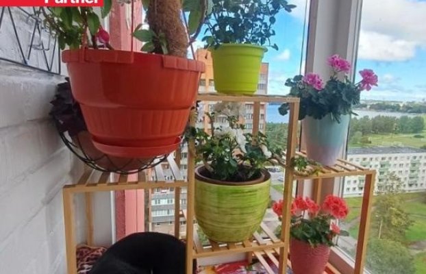 Image 14 of 27