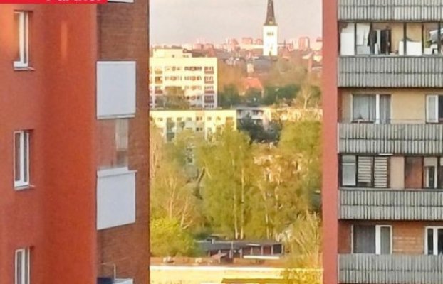 Image 10 of 27