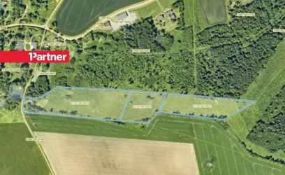 Pilte 3 katastriüksust, kokku 4.4 ha! Elamumaa!