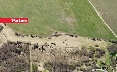 Pilte 3 katastriüksust, kokku 4.4 ha! Elamumaa!