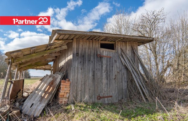 картина 31 of 33