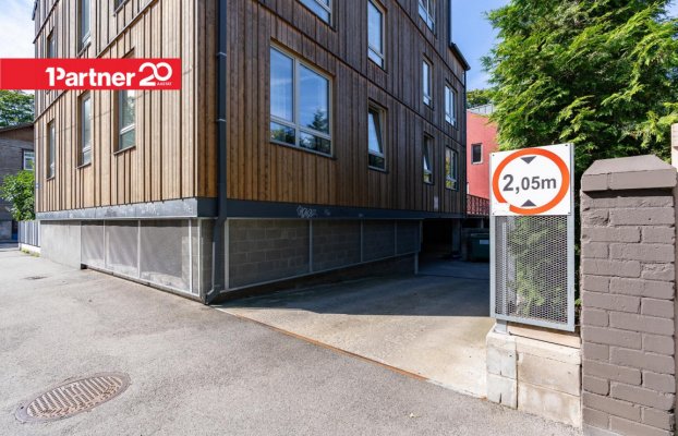 Image 23 of 31