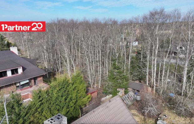 картина 37 of 44