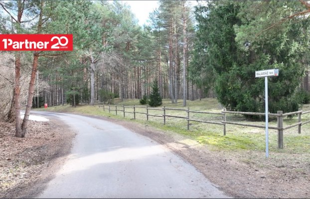 картина 43 of 44