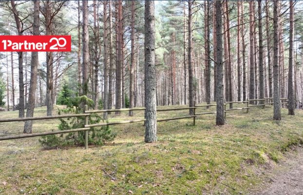 картина 42 of 44