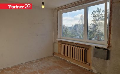 Pilte Sinirebase tn 10