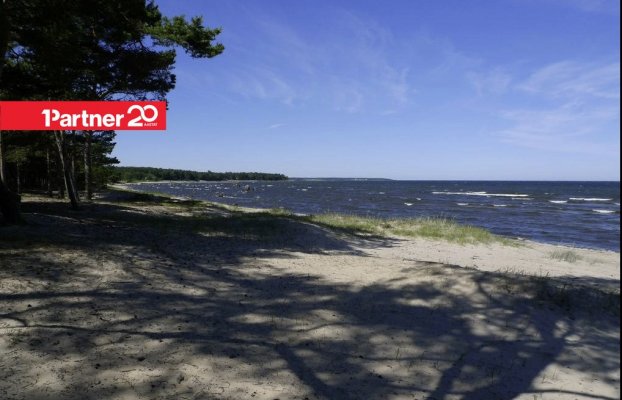 Image 16 of 47