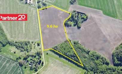 Image of 24.4 ha ligipääsuga metsa- ja põllumaad Peipsiääre vallas!