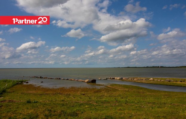 картина 40 of 46