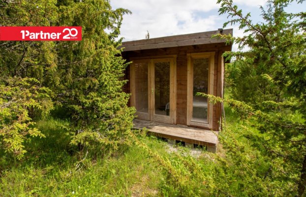 картина 24 of 46