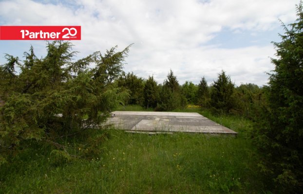 картина 43 of 46