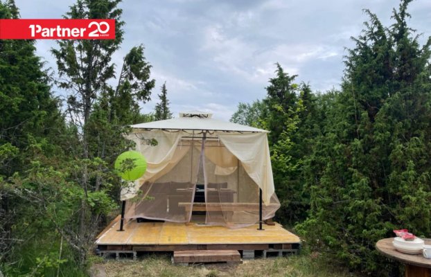 картина 14 of 46