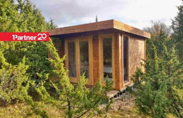 картина 12 of 46