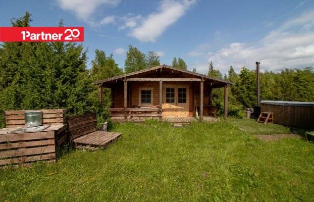 картина 11 of 46