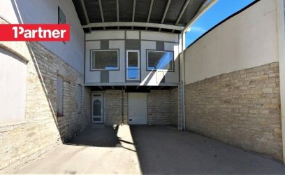 Image of J. Vilmsi tn 53b