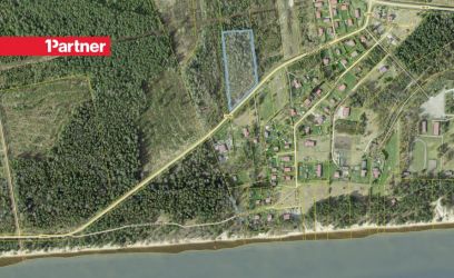 Pilte Kõrghaljastusega 1 ha kinnistu Peipsi liivarandade läheduses!