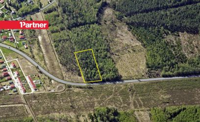 Image of Kõrghaljastusega 1 ha kinnistu Peipsi liivarandade läheduses!