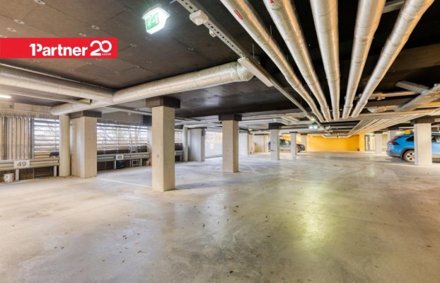 картина 33 of 44