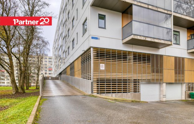 картина 38 of 44