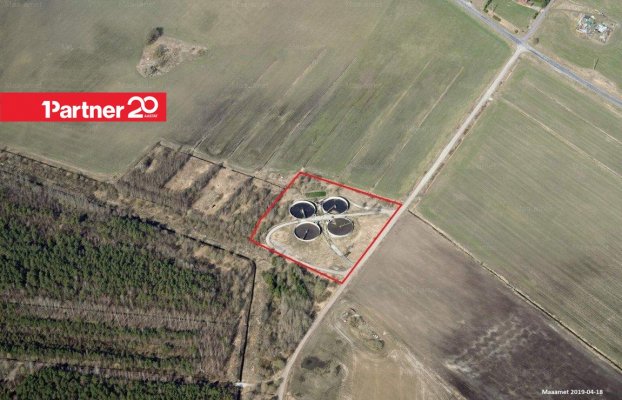 картина 1 of 5