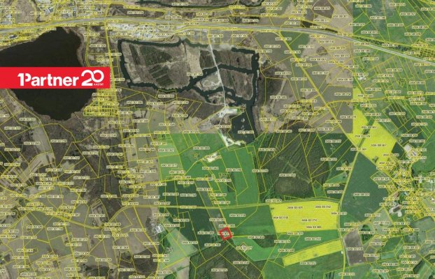 картина 4 of 5