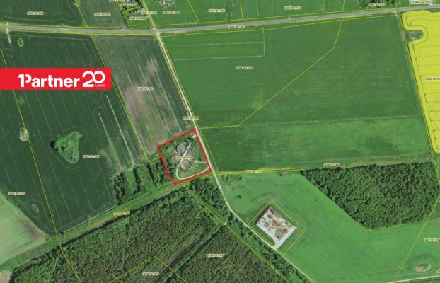 картина 2 of 5