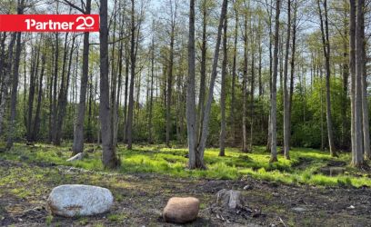 Image of ELAMUMAA LOODUSES JA MERE LÄHEDAL