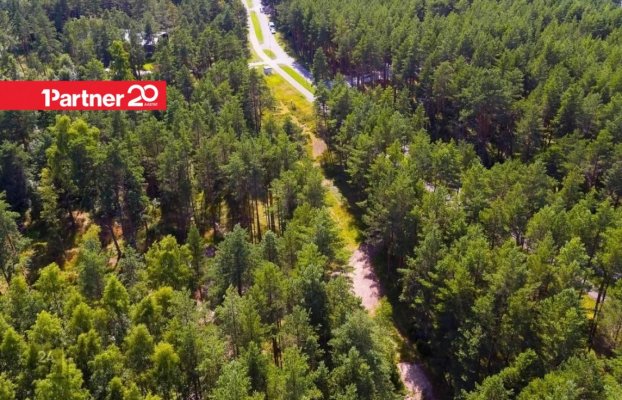 картина 19 of 22