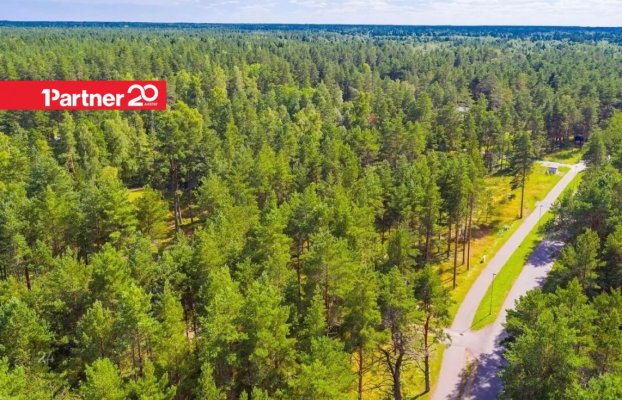 картина 18 of 22