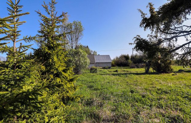Image 8 of 24