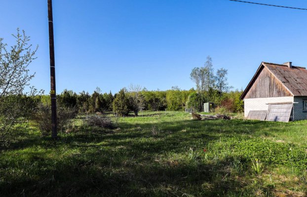 Image 16 of 24